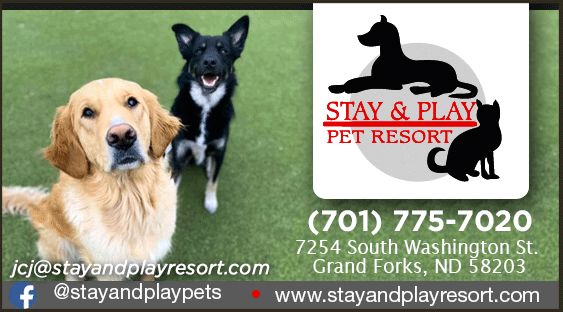 stay and play pet resort grand forks